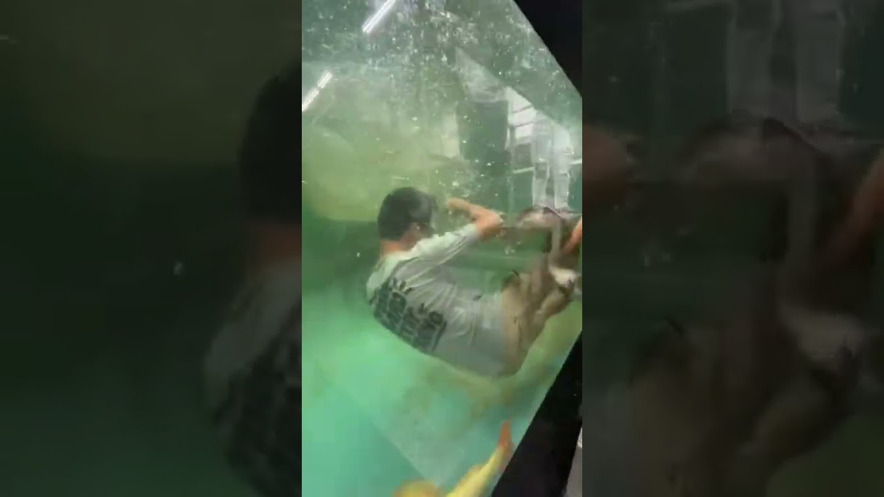 Attacked by electric Fish! #shorts