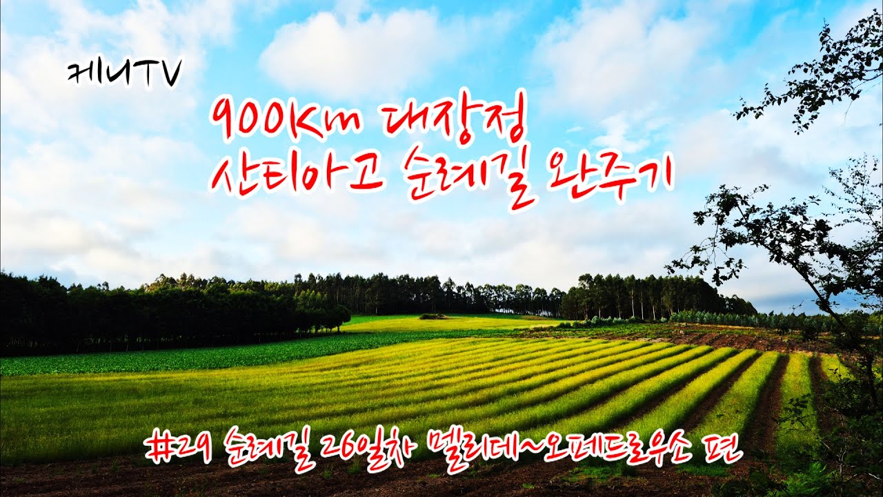 900Km 대장정 산티아고 순례길 완주기 #29 순례길 26일차 멜리데~오페드로우소 편