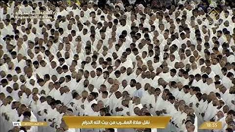 ‏' خواتيم سورة التوبة ١٢٨ - ١٢٩۞‏خواتيم سورة الفتح ٢٩ ' الشيخ #ماهر_المعيقلي صلاة المغرب ٨-٢-١٤٤٥ هـ