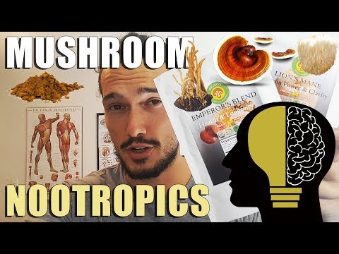 fungi-nootropics-lion's-mane-mushroom,-red-reishi,-cordyceps-militaris,-chaga-benefits💯