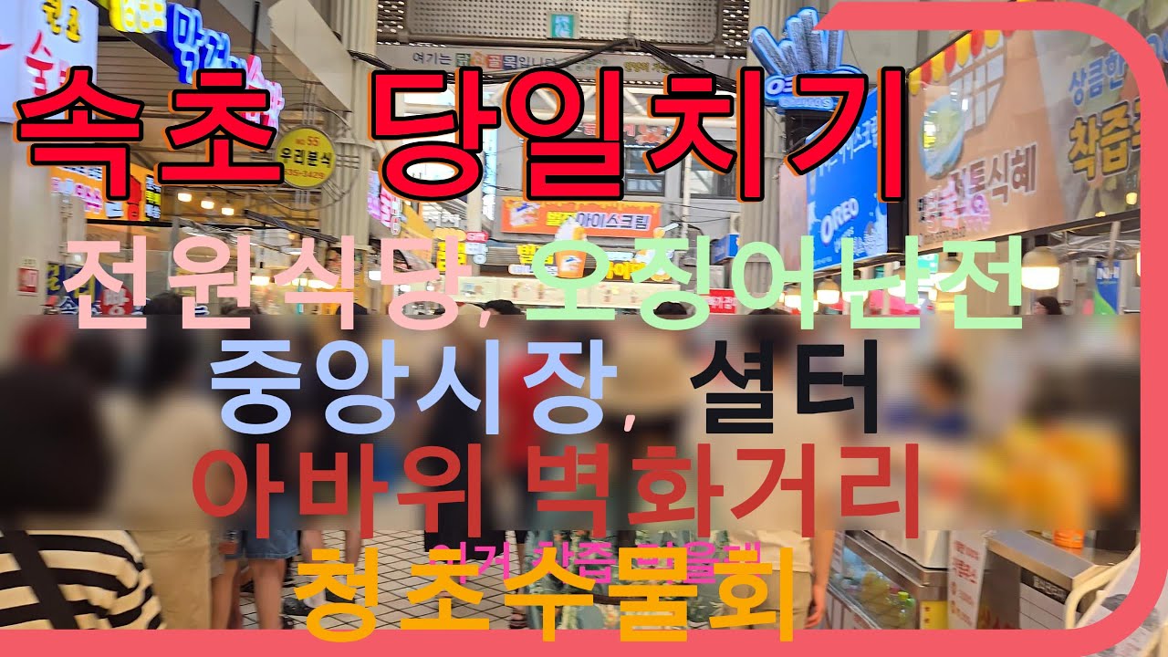 북적이는 속초, 당일치기로 다녀옴. 사람도 많고 영상은 엉성했지만 그마저도 하루휴가🏖