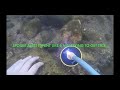 River Treasure Metal Detecting W/ PL-IKING 750, Scuba Diving Underwater In The Kern River, Ca