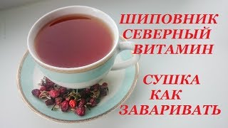 Шиповник северный витамин сушка как заваривать