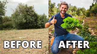 From Abandoned Land to Organic Garden (First Results!)