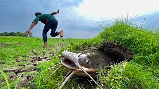 Amazing! Catch Under The Ground Monster Catfish In Under Grass Now Dry Season By Hand!