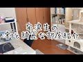 【ゆる動画】浪人生の部屋紹介 /ルームツアー