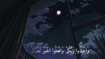 يا أيها الذين امنوا اركعوا واسجدوا واعبدوا ربكم  بصوت القارئ عبد الرحمن مسعد🤍🤍🤍