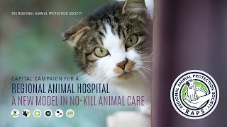 Building the RAPS Animal Hospital