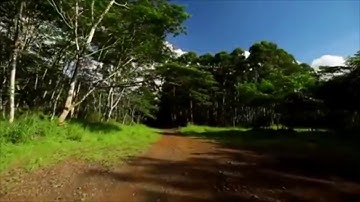 سورة الرعد - {اللَّهُ يَبْسُطُ الرِّزْقَ لِمَن يَشَاءُ وَيَقْدِرُ ۚ}