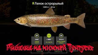 Рыбалка На Нижней Тунгуске. рр4. Русская рыбалка 4