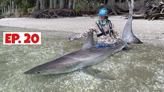 Harbour full of Great White Sharks. Epic White Shark footage, Drone and Under Water.