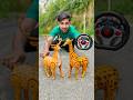 Amr 2Ta RC Animals toy Deer and Giraffe 🦒| animals animals