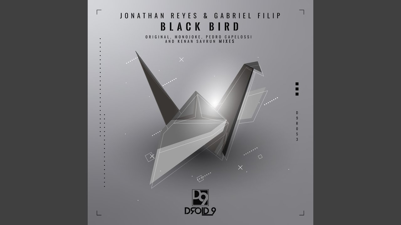 Black Bird (Kenan Savrun Remix)
