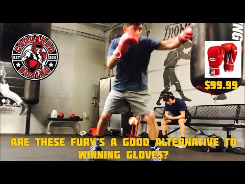 Fighting Sports Fury
