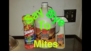 Snake Mites: Rid And Prevent!