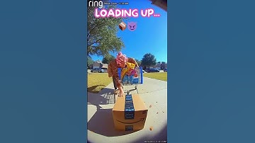 👉 Karen brings SHOPPING CART to rob me    PINK PAINT EXPLOSION! 🛒💖 Karma