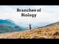 Branches de la biologie  thologie entmologie ichyologie herptologie ornithologie mammalogie