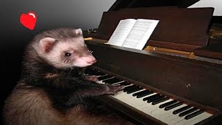 VRChat - Ferrets and a Piano