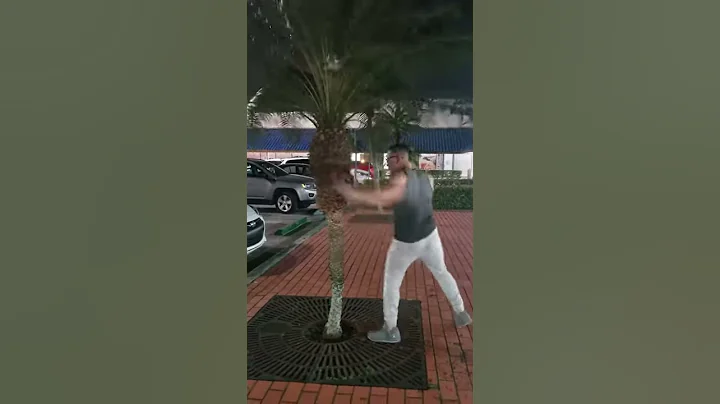 Andy cabrera vs rbol