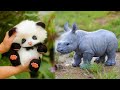 15 Unbelievably Cute Baby Animals You’ll Want To Pet Right Away!