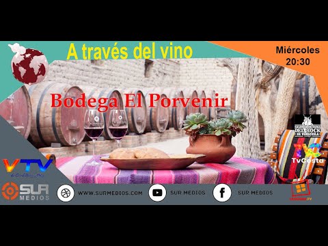 Programa A través del vino desde Bodega El Porvenir