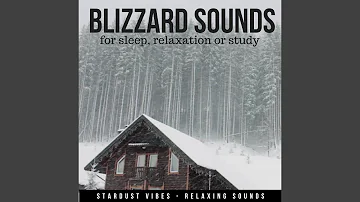 Blizzard Sounds for Sleep, Relaxation or Study