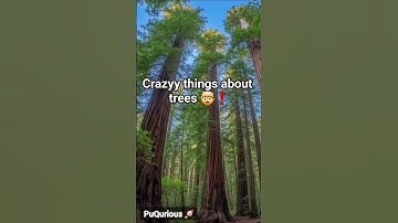 You are missing out 😲 these wonderful facts about trees! 🪴 #shorts #trending #ytshorts #viral