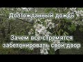 Дождь в Краснодарском крае. Фруктовый сад. 20 апреля 2020 года, что с погодой