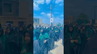 Shurafa kano cikin Sahun Muzaharar Ashura