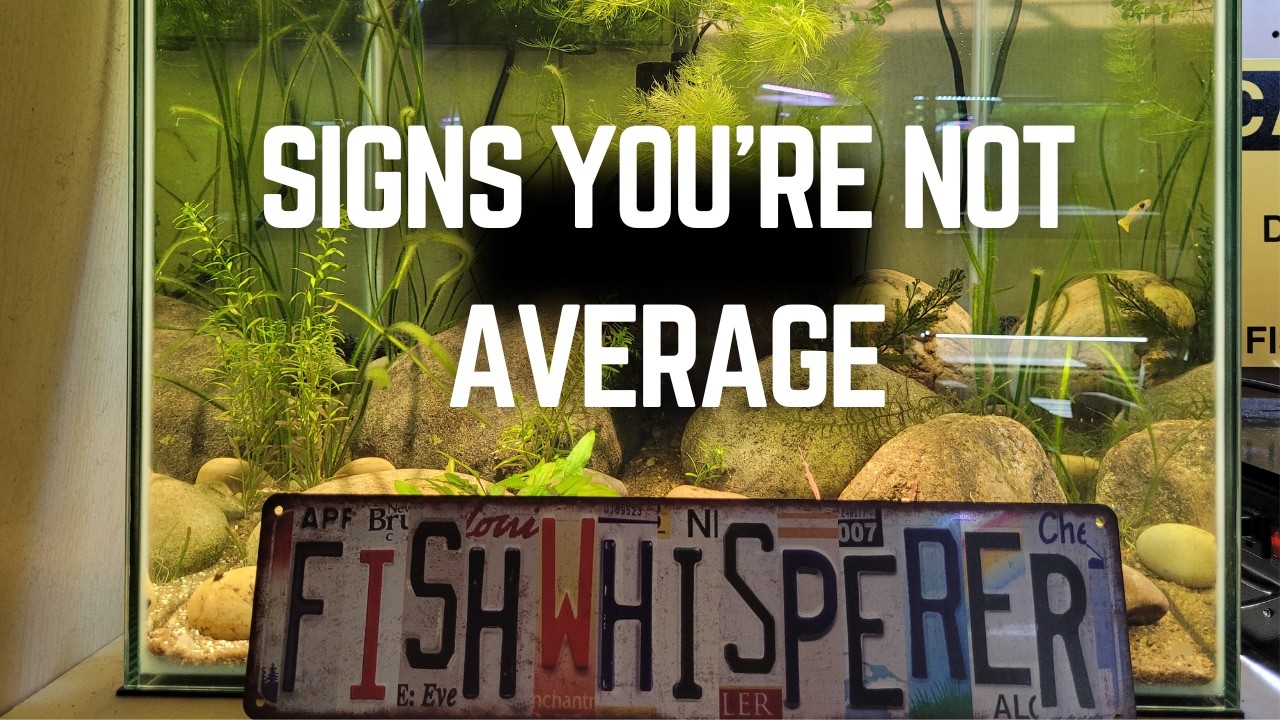 10 Signs Your An Awesome Fishkeeper