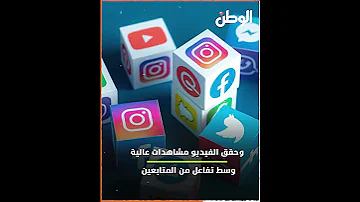 لحظات تحبس الأنفاس قرش يحوم حول مركب في البحر كيف انتهى المشهد 