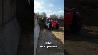 LGMG кормит скот #mccormick #amazone #newholland #caseih