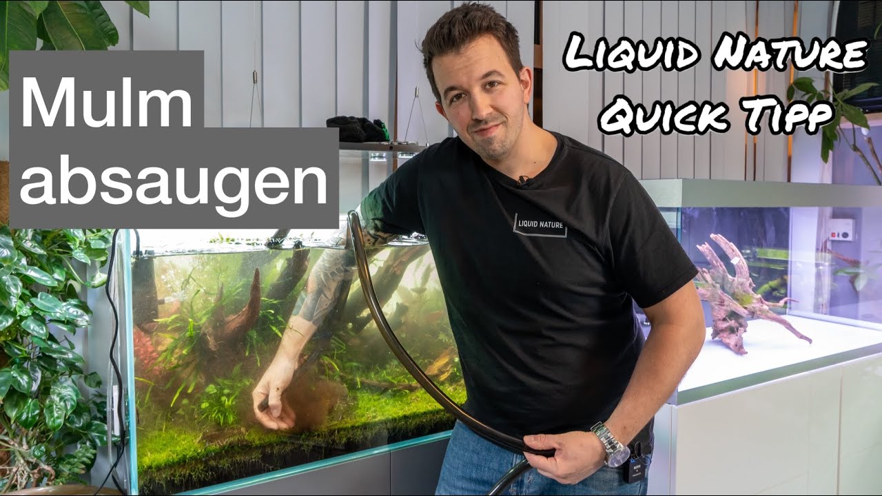 Mulm absaugen mit der Wedeltechnik! Liquid Nature Quick Tipp YouTube