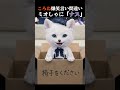ミオがなす？ころねが裏でミオしゃを「ナス」と呼んでいた！戌神ころね/白上フブキ/大神ミオ/猫又おかゆ/ゲーマーズで『hololive GAMERS fes. 」 #ゲーム実況 #ホロライブ切り抜き