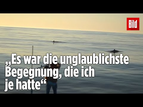 Sensations-Aufnahmen: Forscher entdecken