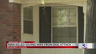 Download Lagu Man killed after saving wife from dog attack MP3 Download Lagu Man killed after saving wife from dog attack MP3