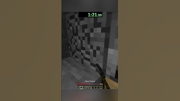 Speedrunning random minecraft items PT 8