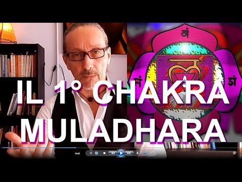 1° Chakra Muladhara