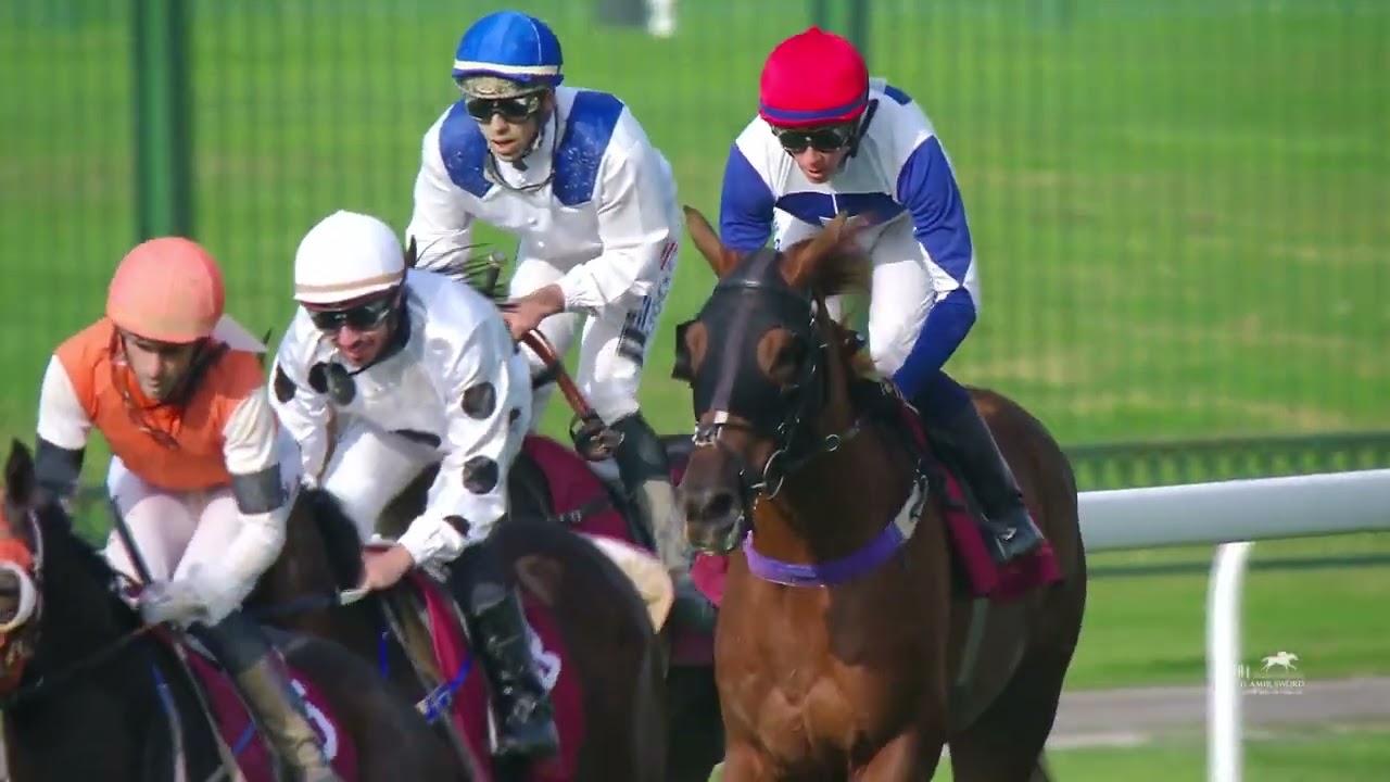 Al Maher by  Pivotal (GB)  PREMIUM CUP  1700m  Sand Championships