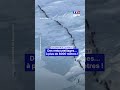 L'Everest victime de surfréquentation ? ｜TF1 INFO