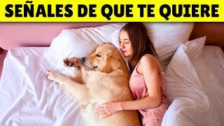 14 SEÑALES secretas de que tu perro TE QUIERE (y tú no lo sabes) by Zona Perros 5,662 views 1 month ago 9 minutes, 33 seconds