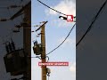 Électricité pour tous : Réo passe au courant à seulement 3 000 FCFA