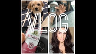 LASH EXTENSIONS TRIED TO KILL ME, SBUX DARK MOCHA, SPIKE, GROCERIES
