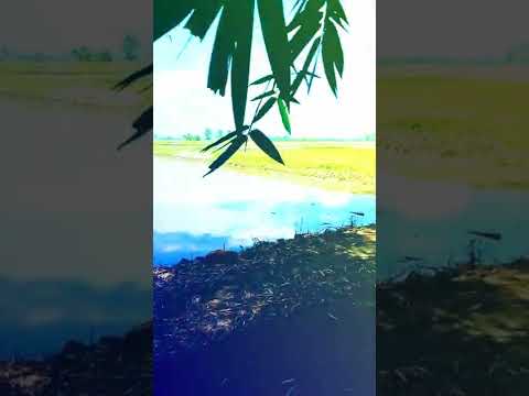 LAGU : KE