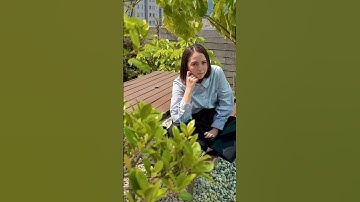 Try this Easy Freeze Frame Effect! #shorts