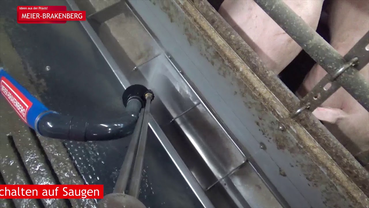 LA EUROTIER A FOST DESEMNAT CASTIGATORUL MEDALIEI DE AUR PENTRU INOVATIE IN DOMENIUL TEHNOLOGIEI AGRICOLE 2 LA EUROTIER A FOST DESEMNAT CASTIGATORUL MEDALIEI DE AUR PENTRU INOVATIE IN DOMENIUL TEHNOLOGIEI AGRICOLE YouTube player