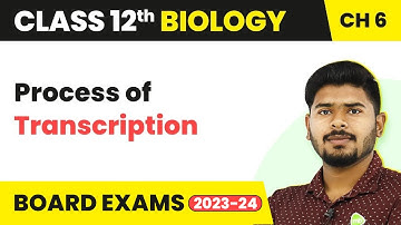 Process of Transcription - Molecular Basis of Inheritance | Class 12 Biology (2022-23)