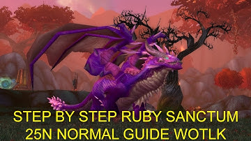 Ruby Sanctum Normal Guide WOTLK 3.3.5 (Heal+DPS Positioning)