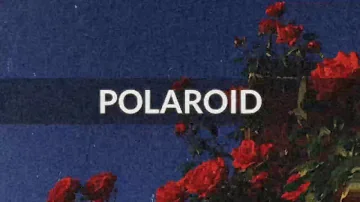 Polaroid- Alisson Shore, Kiyo and no$ia