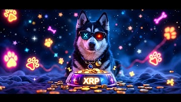 Denarii $DFi - XRdoge Community-Driven Development #XRP - #XRPL - #QFS - #IOT - #IOV - #WEB3